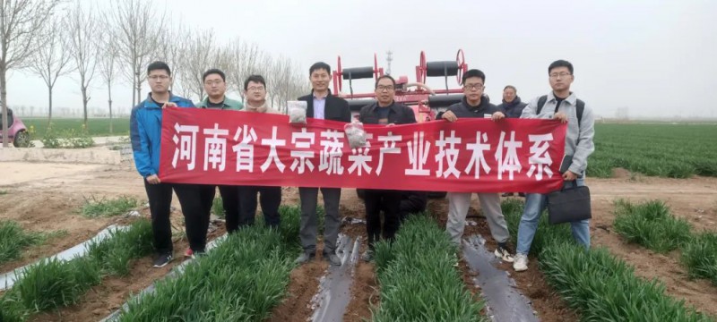 李勝利團隊到臨潁縣開展技術指導3