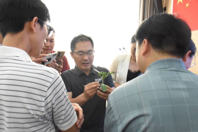 8華中農業大學副教授黃遠與同行們交流著嫁接新工具的使用