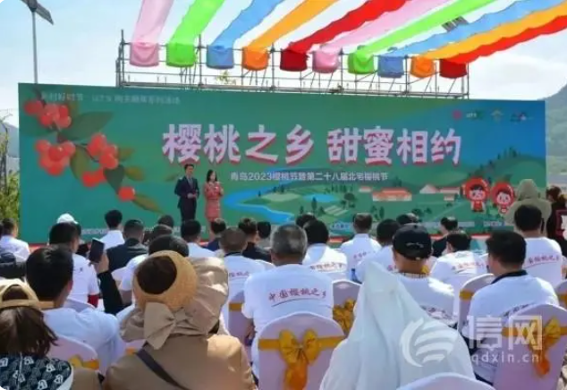 青島2023櫻桃節暨第二十八屆北宅櫻桃節開幕 持續至6月2日