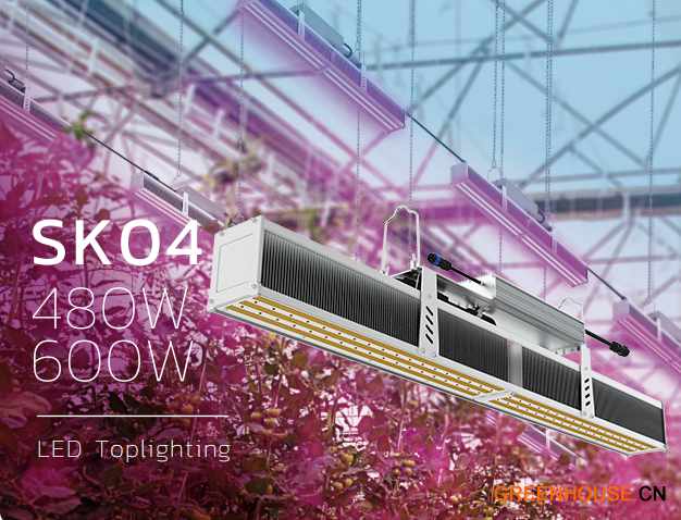 SK04 果蔬燈