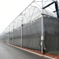 廠家供應高品質連棟大棚溫室 內外遮陽連棟溫室