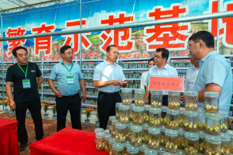 蘭州高原夏菜新品博覽會2