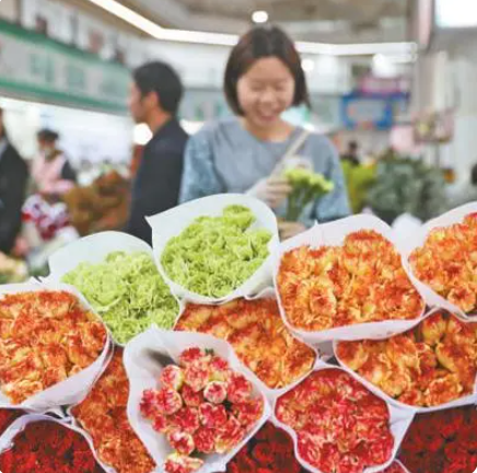 鮮切花產業背后的科技力量