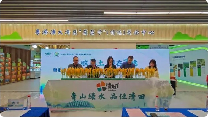 粵港澳大灣區(qū)“菜籃子”（清遠(yuǎn)）展示中心開業(yè)儀式2