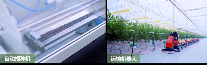 廣東梅州、珠海攜手打造的梅州市華發現代設施農業示范基地-自動化系統