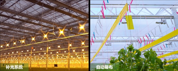 廣東梅州、珠海攜手打造的梅州市華發現代設施農業示范基地-環境調控系統