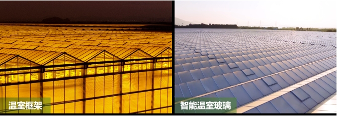 廣東梅州、珠海攜手打造的梅州市華發現代設施農業示范基地-溫室框架系統