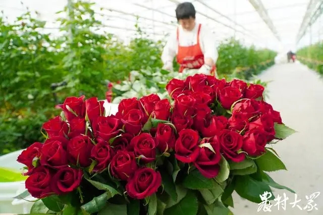 剛剛采摘下來的鮮花。.webp