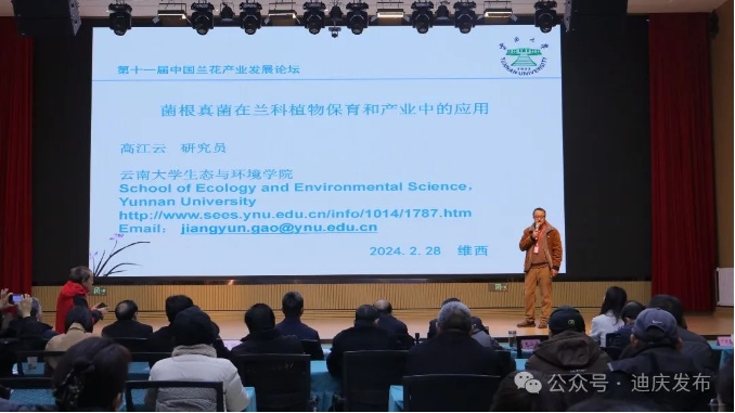 高江云報告