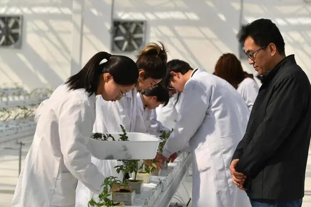 北京農學院智能溫室啟用2_副本