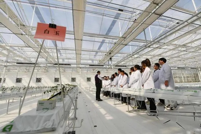 北京農學院智能溫室啟用4_副本