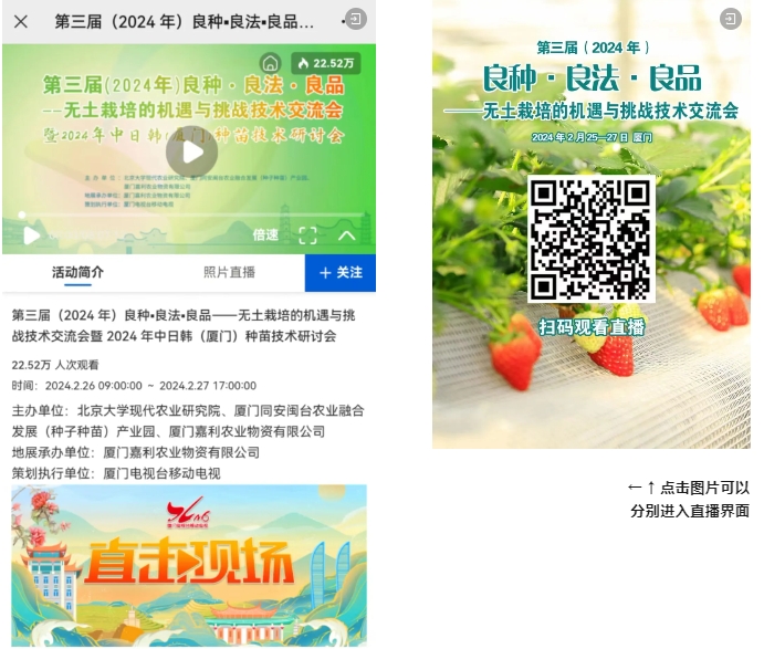 廈門百利4