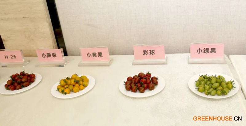 種苗大會展示3