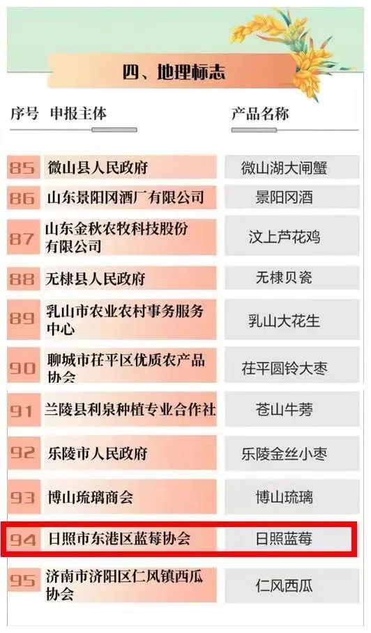 日照藍莓1