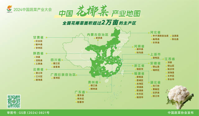 2.中國花椰菜產(chǎn)業(yè)地圖