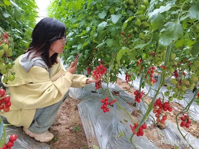 微信圖片_20240527202140