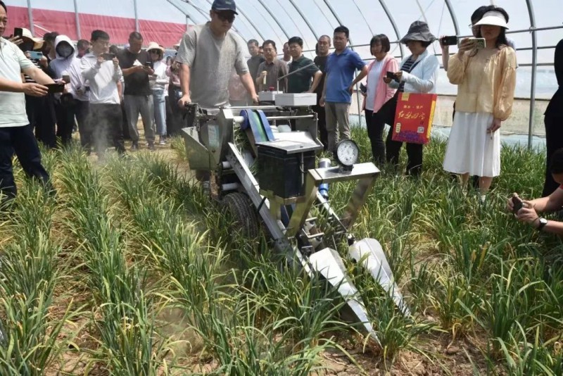 河北省設施蔬菜機械化生產觀摩培訓活動2