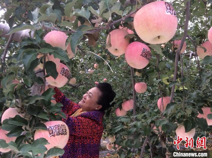 亞洲最大天敵捕食螨商品化生產(chǎn)基地近日落戶福建省閩侯縣經(jīng)濟(jì)技術(shù)開發(fā)區(qū)并正式投入運(yùn)作