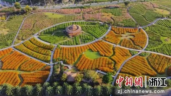 種植基地一景2