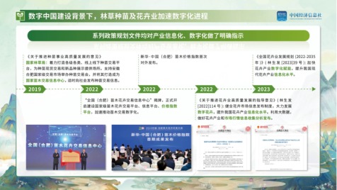 國家級苗木指數正引領各地花木指數矩陣式發展