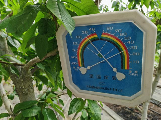 溫室大棚內溫度顯示照片