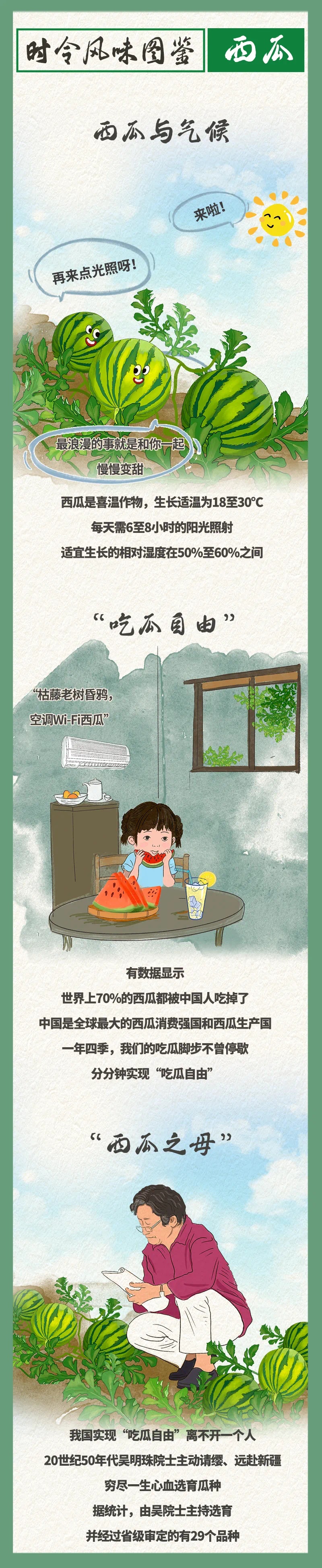 西瓜與氣象1