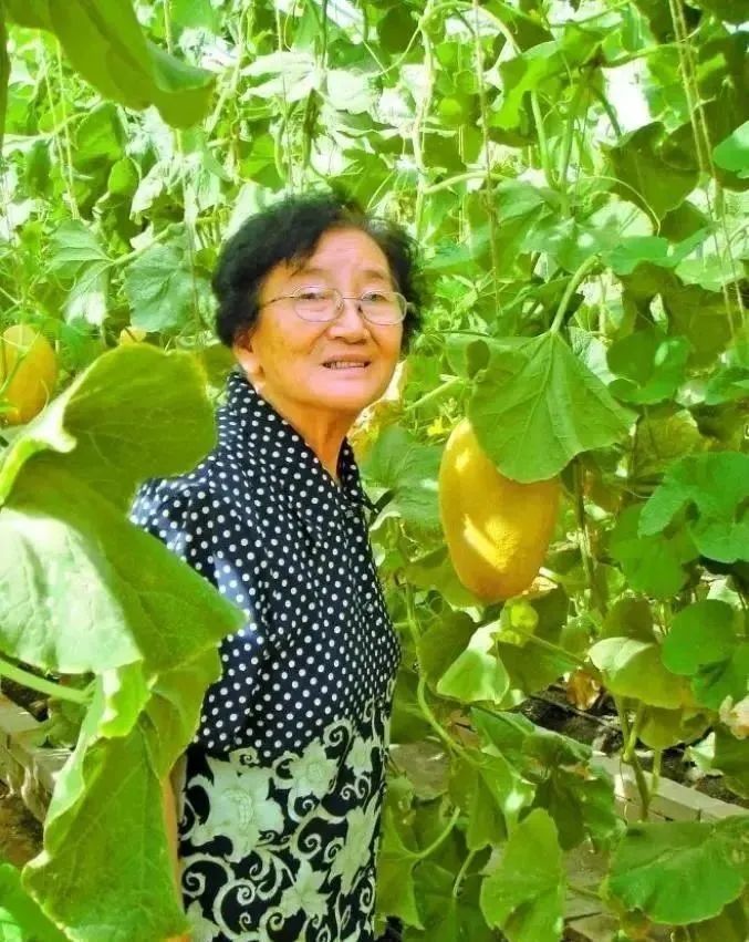 吳明珠