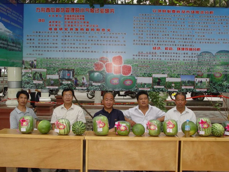 西瓜與氣象3