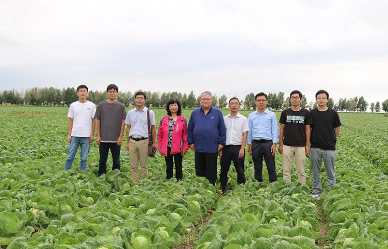 蔬菜產業專家團服務內蒙古冷涼蔬菜產業喜見成效2