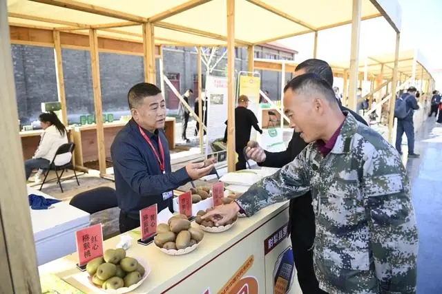 2024年中國農民豐收節主場活動3