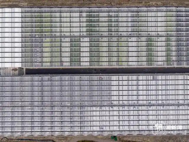 余姚陸埠鎮(zhèn)無土栽培植物工廠項(xiàng)目0 俯瞰圖