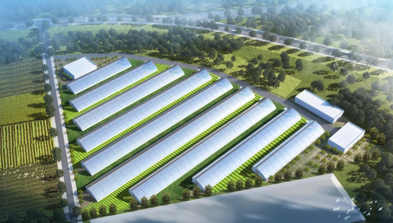西安市農(nóng)業(yè)數(shù)字化育苗項目開工202502