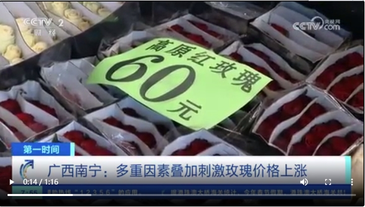 玫瑰2