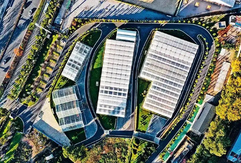 2024年12月17日拍攝的云南種子種業聯合實驗室溫室大棚。 新華社記者 陳欣波 攝.webp