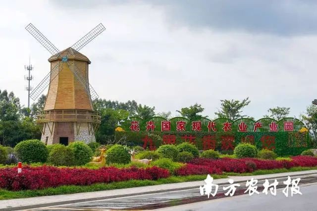 市從化區(qū)花卉國家現(xiàn)代農(nóng)業(yè)產(chǎn)業(yè)園