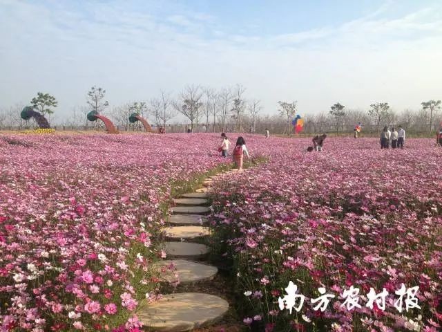 農(nóng)旅融合發(fā)展