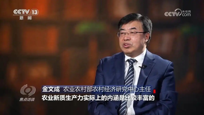 焦點訪談一號文件4.webp