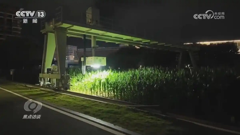焦點訪談一號文件6.webp