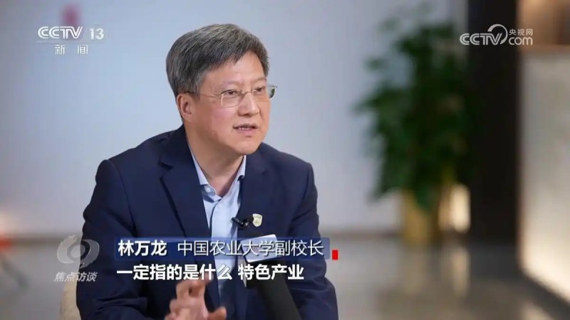 焦點訪談一號文件10.webp