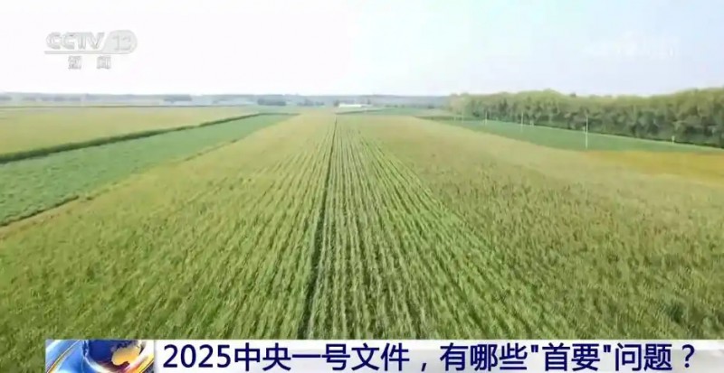 胡向東受訪00.webp