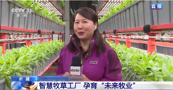 新疆“智慧牧草工廠”
