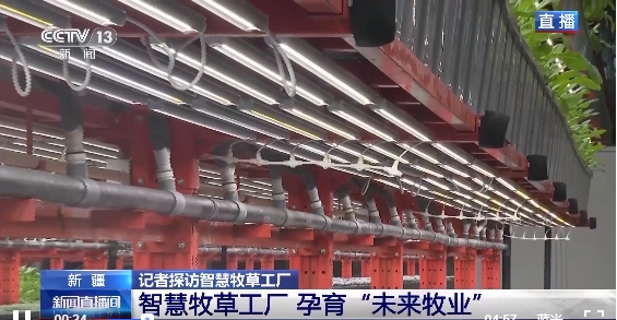 新疆“智慧牧草工廠”2