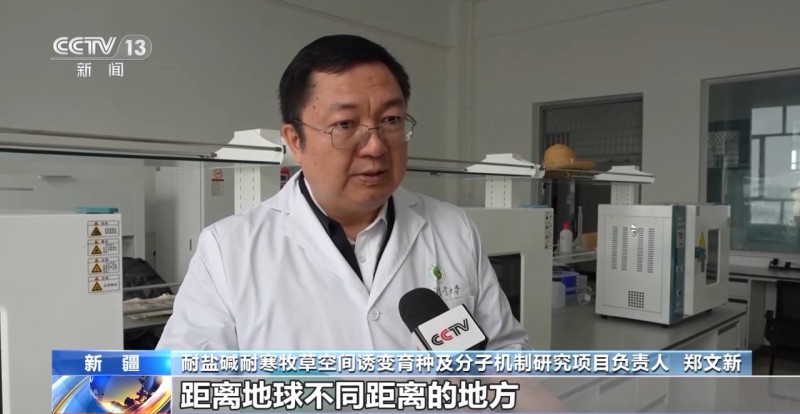 鄭文新
