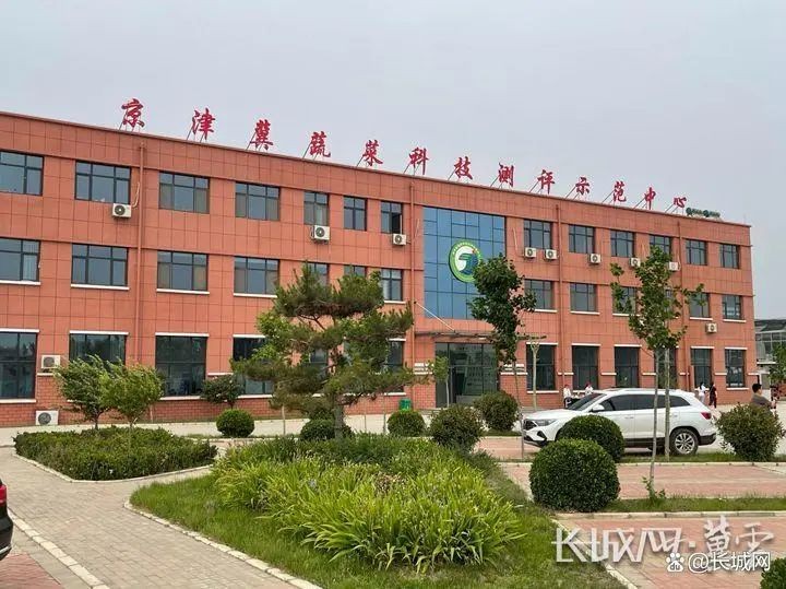 京津冀蔬菜科技測評示范中心。長城網(wǎng)·冀云客戶端記者 賈宏博 攝