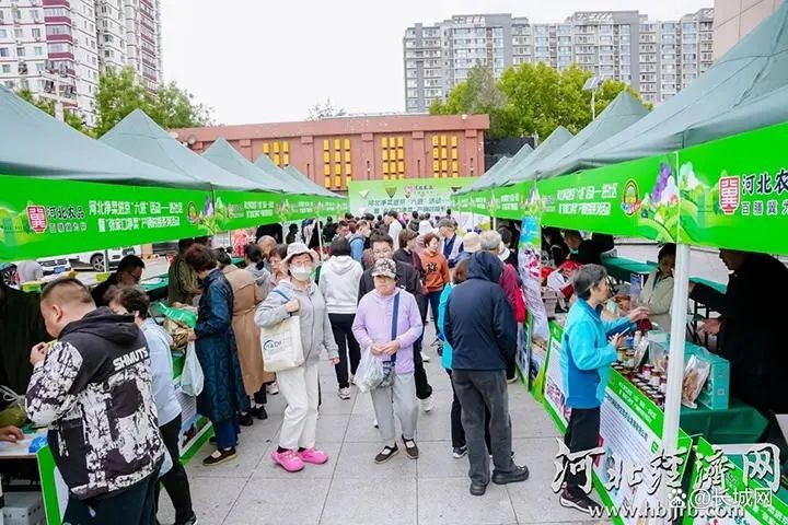 “河北凈菜”進市場、進超市、進社區(qū)、進飯店、進食堂、進餐桌“六進”活動，提高“河北凈菜”在北京市場占有率。河北省農(nóng)業(yè)農(nóng)村廳供圖