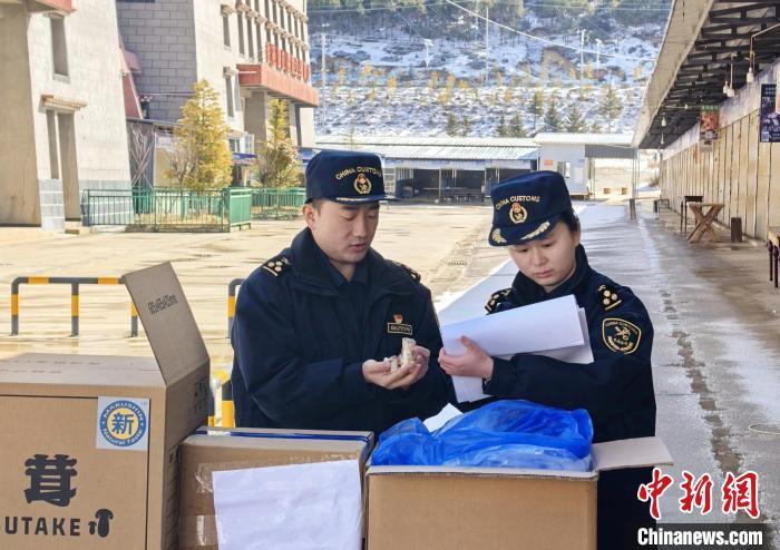 海關關員在香格里拉市食用菌出口企業開展現場監管。楊梟 攝