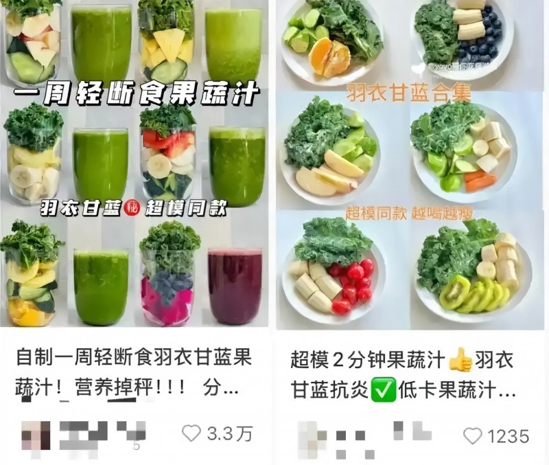 羽衣甘藍食品.webp(1)