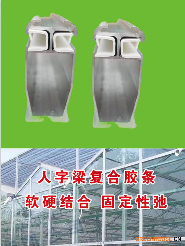 微信圖片_20250415101040