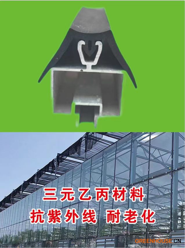 微信圖片_20250415101315