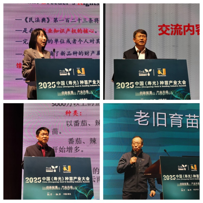 特邀報告